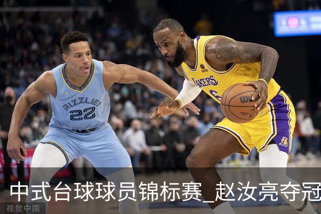 中式台球球员锦标赛 赵汝亮夺冠斩获百万奖金