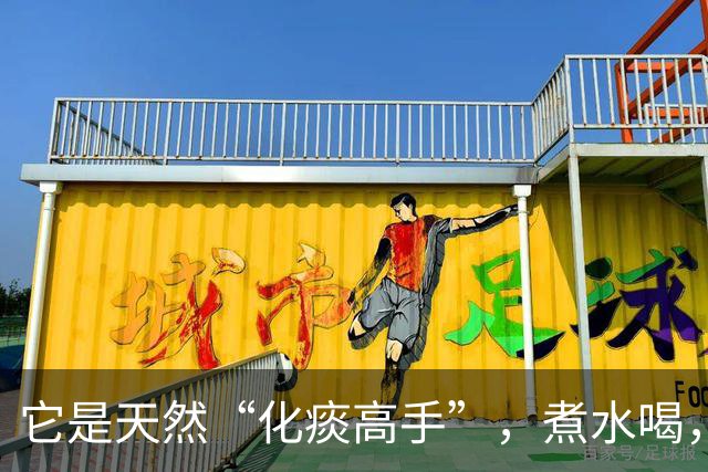 它是天然“化痰高手”，煮水喝，排出深层老痰，痰湿体质不要错过