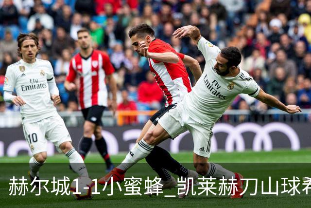 赫尔城1-1小蜜蜂 凯莱赫刀山球希基送点 麦克伯尼点射瓦塔拉扳平