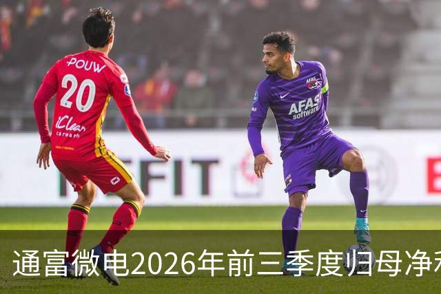 通富微电2026年前三季度归母净利润30.61亿元，同比增长255.68%