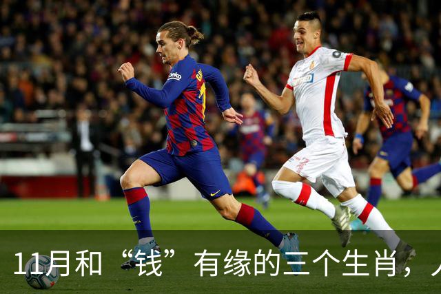 11月和“钱”有缘的三个生肖，人缘好人聪明，赚钱总有路可走